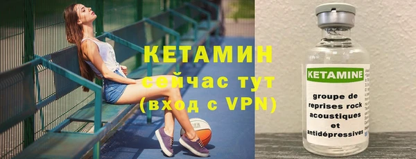 мдпв Бородино