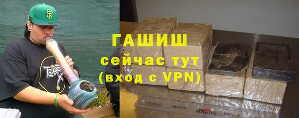 мдпв Бородино
