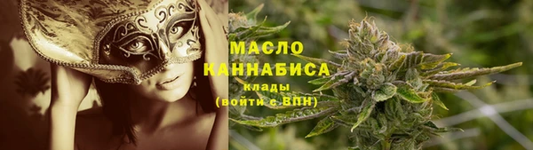 мдпв Бородино