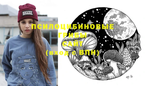мдпв Бородино
