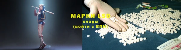 мдпв Бородино