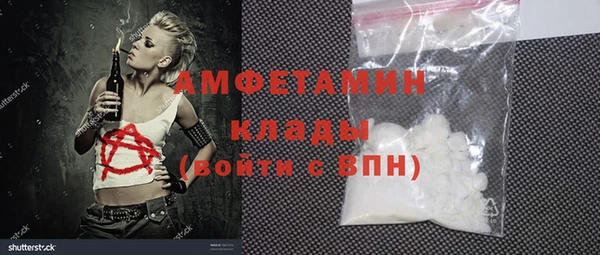 мдпв Бородино