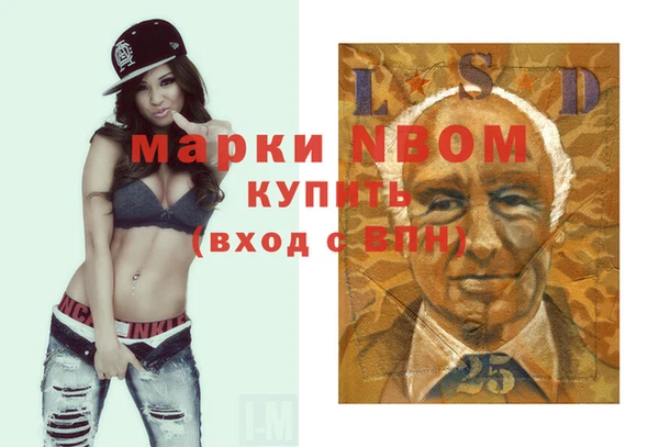 мдпв Бородино