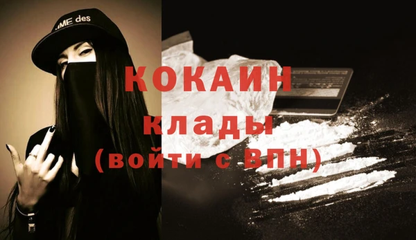 мдпв Бородино