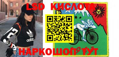 прущие грибы Будённовск